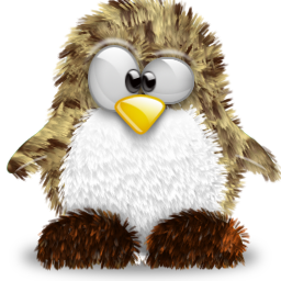 penguin pingouin pinguino 902